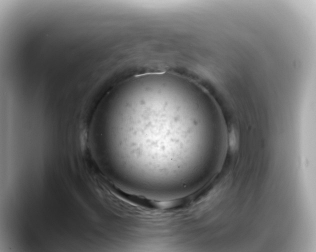 X0000088651492200706011211