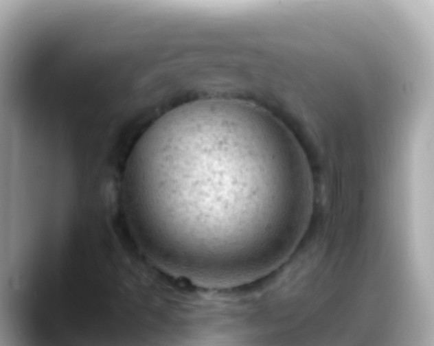 X0000088651493200706011211