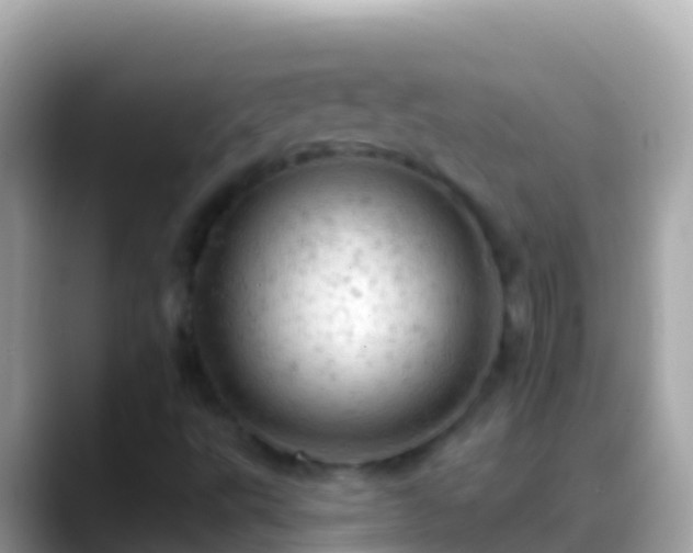 X0000088651495200706011211