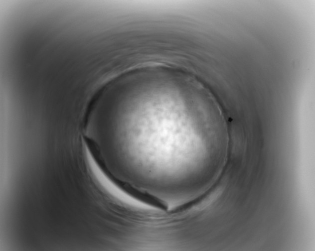 X0000088651497200706011211