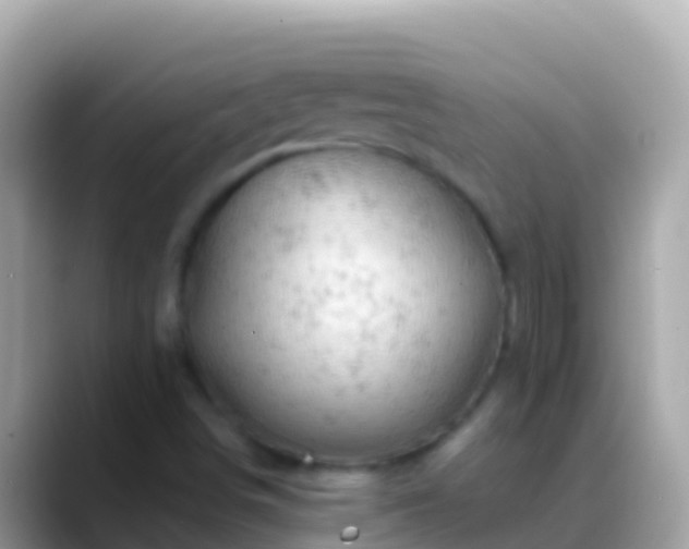 X0000088651498200706011211