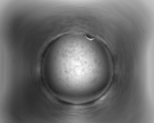 X0000088651499200706011211