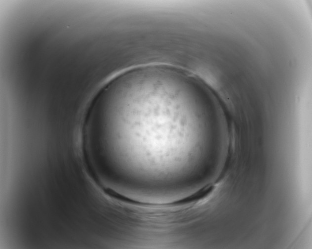 X0000088651500200706011211