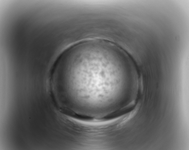 X0000088651501200706011211