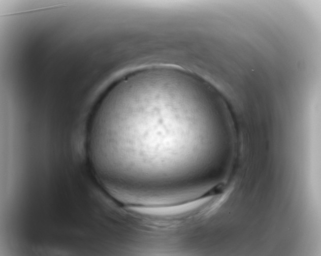 X0000088651502200706011211