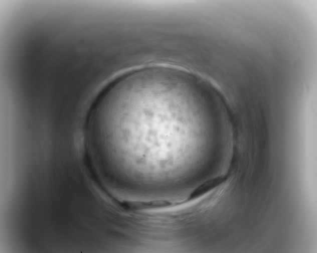X0000088651503200706011211