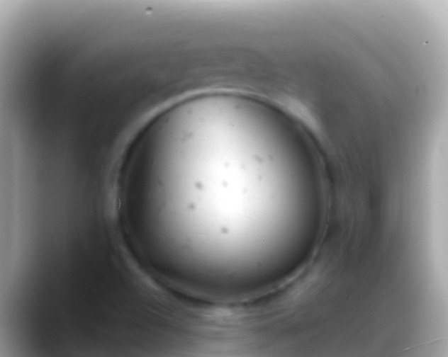 X0000088651504200706011211