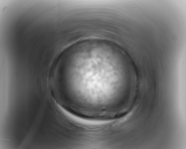 X0000088651505200706011211