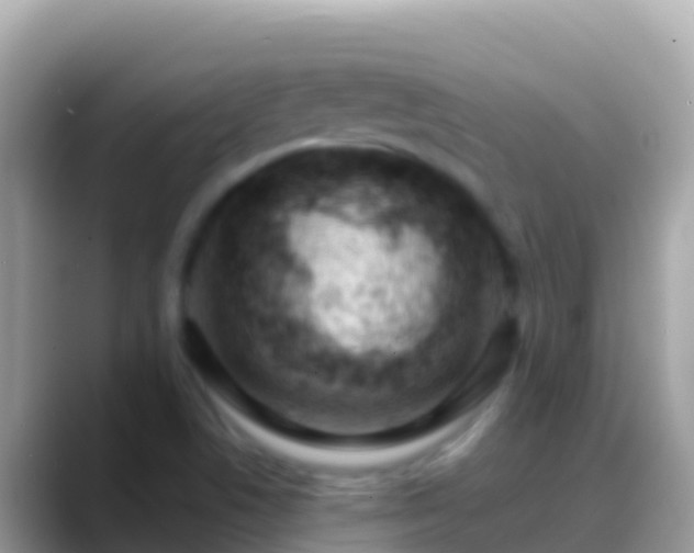 X0000088651506200706011211