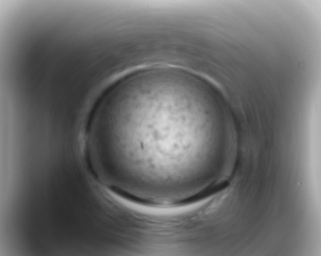 X0000088651507200706011211