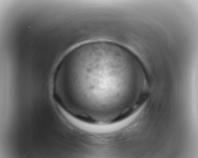 X0000088651508200706011211