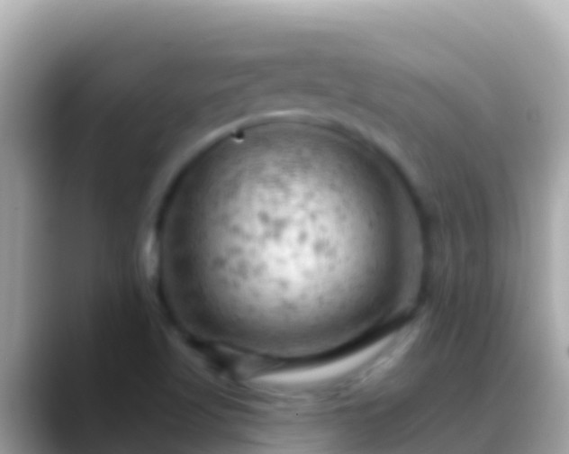 X0000088651509200706011211