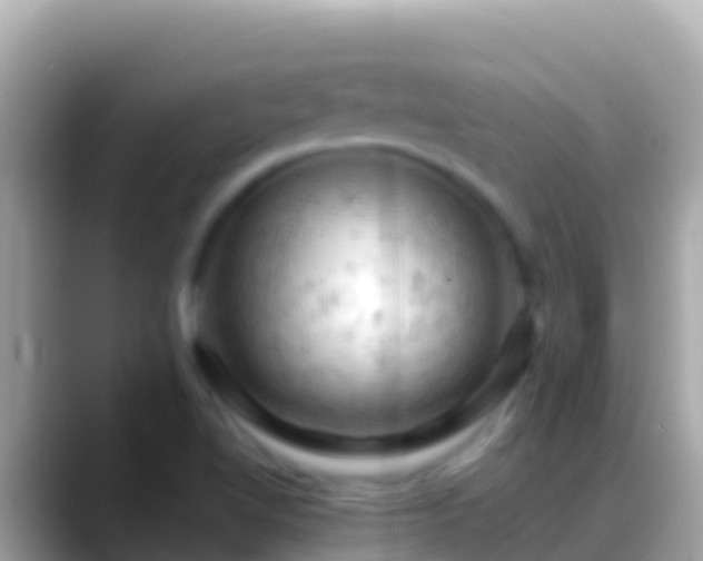 X0000088651510200706011211
