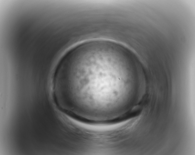 X0000088651511200706011211