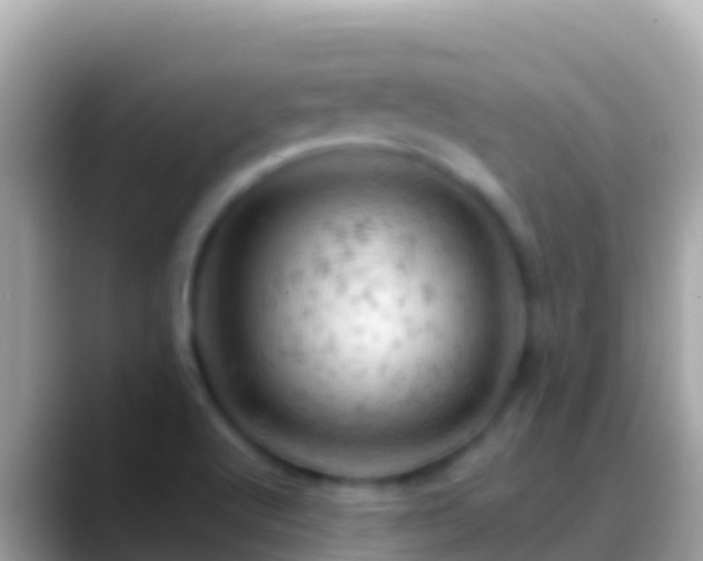 X0000088651512200706011211