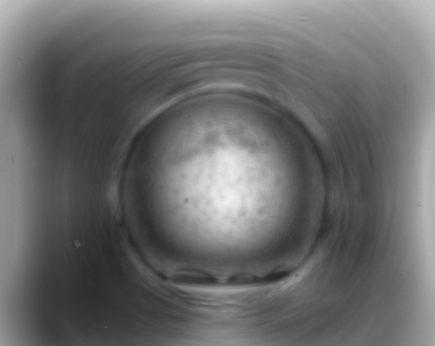 X0000088651513200706011211