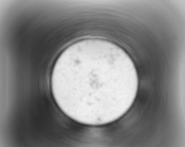 X0000088651514200706011211