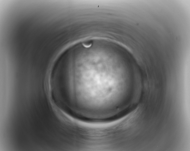 X0000088651515200706011211