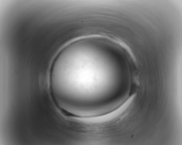 X0000088651516200706011211