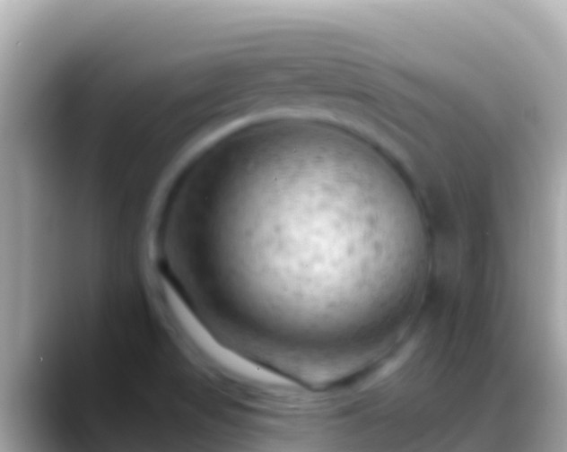 X0000088651517200706011212