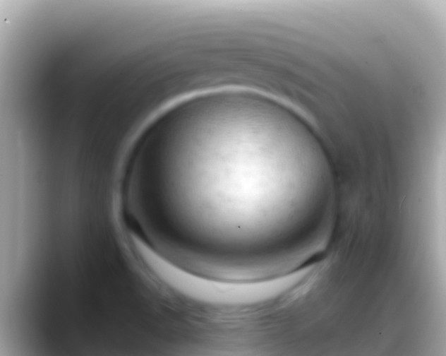 X0000088651518200706011212