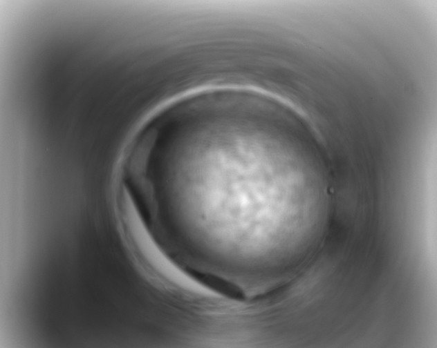 X0000088651519200706011212