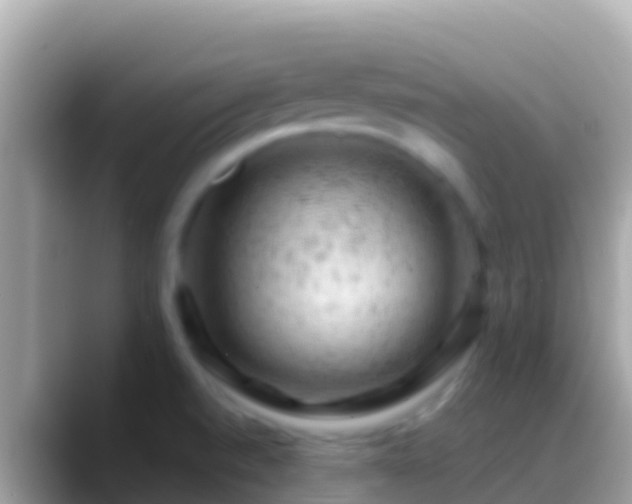X0000088651520200706011212