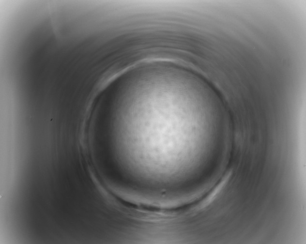 X0000088651521200706011212