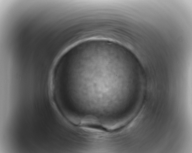 X0000088651522200706011212