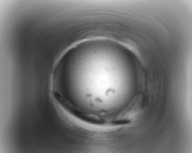 X0000088651524200706011212