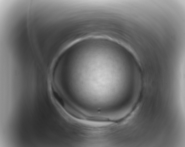 X0000088651525200706011212