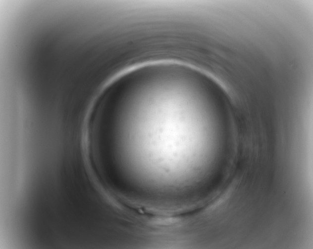X0000088651526200706011212