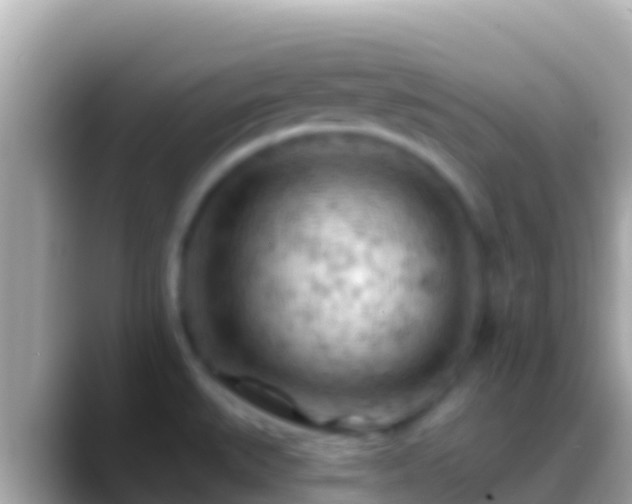 X0000088651527200706011212