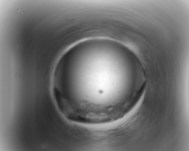 X0000088651528200706011212