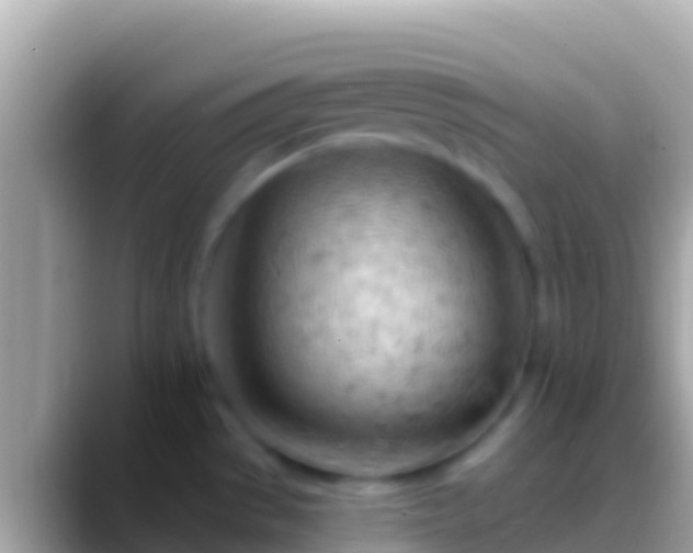 X0000088651529200706011212