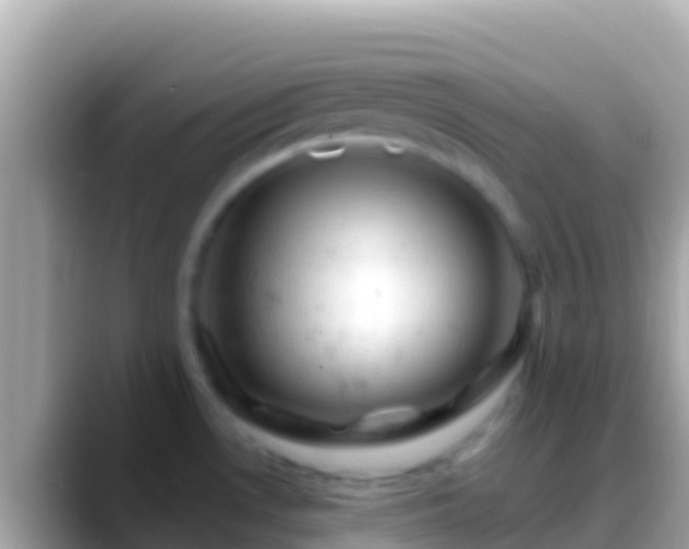 X0000088651530200706011212