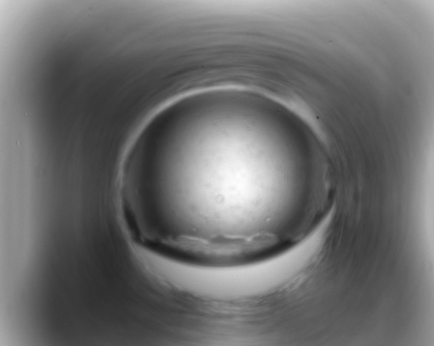 X0000088651532200706011212