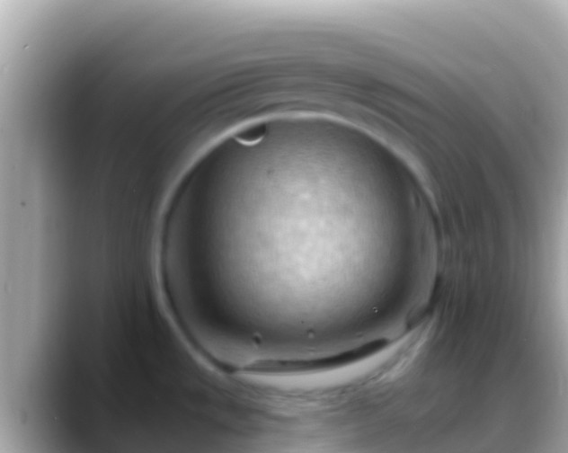 X0000088651533200706011212