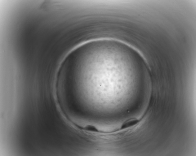 X0000088651534200706011212