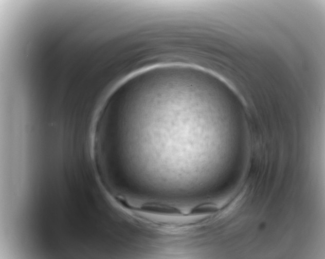 X0000088651535200706011212