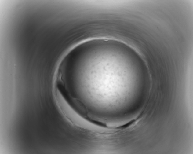 X0000088651536200706011212