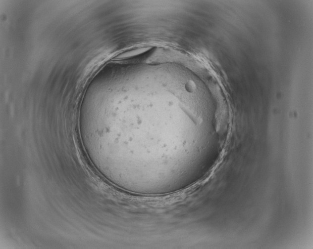 X0000088650001200706081649