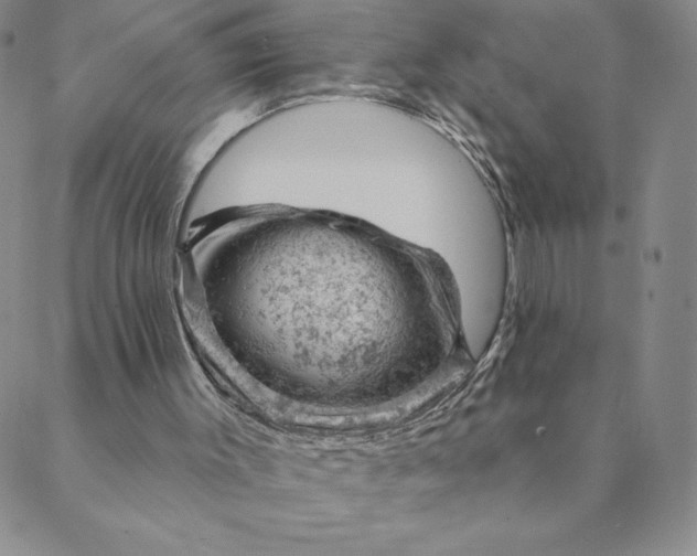 X0000088650003200706081649