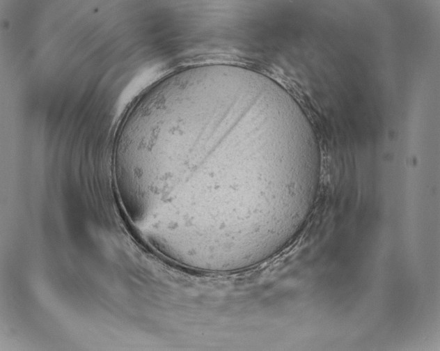 X0000088650004200706081649