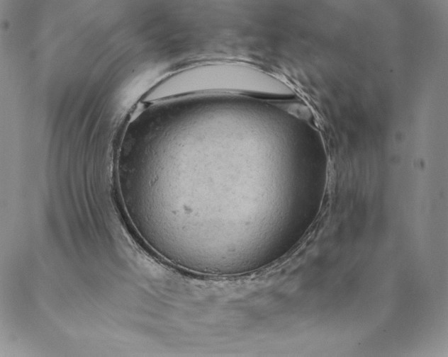 X0000088650005200706081649