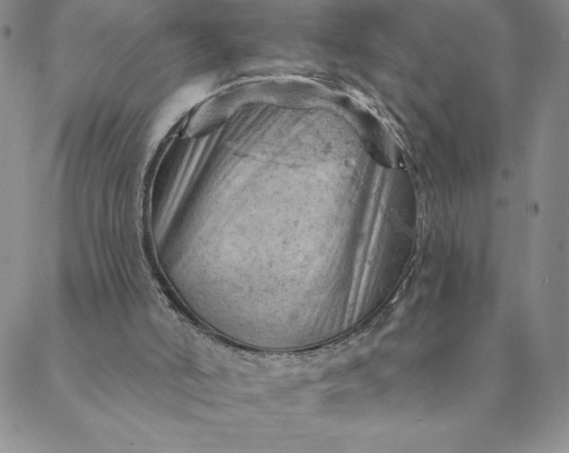 X0000088650006200706081649