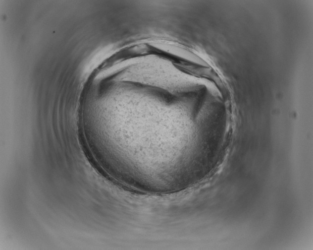 X0000088650007200706081649