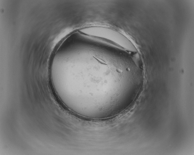 X0000088650008200706081649