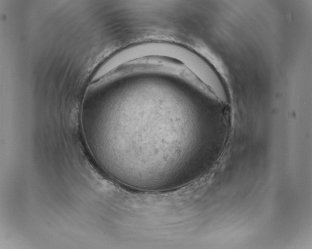 X0000088650009200706081649