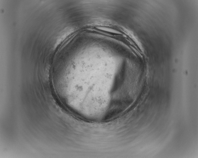 X0000088650010200706081649